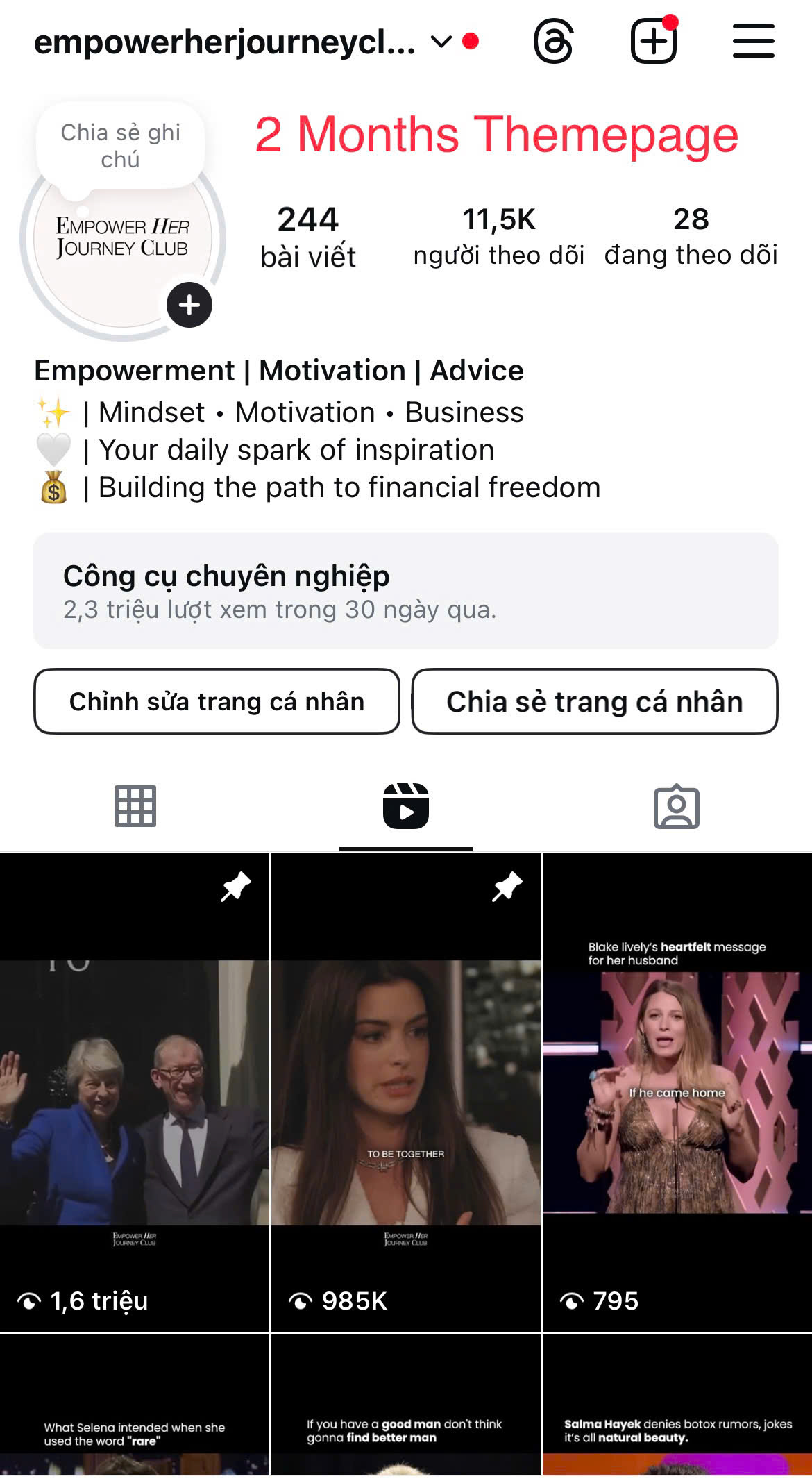 Instagram Theme Page Growth Sample 2
